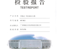 MT/BE2手提式二氧化碳灭火器